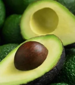 Fresh Avocado