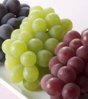 Grapes