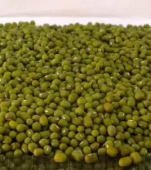 Green Mung Beans