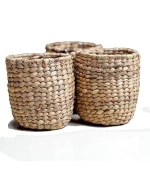 Generic Rustic Elegant Jalkumbhi Pen Stand