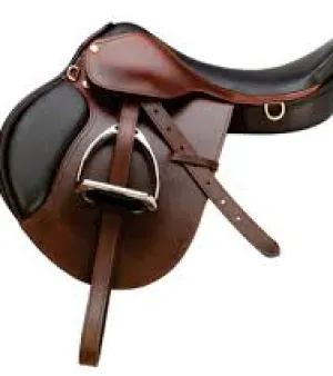 Leather Saddles