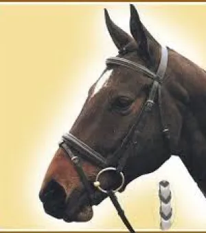 Snaffle Bridle