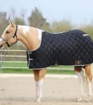Horse Clothing