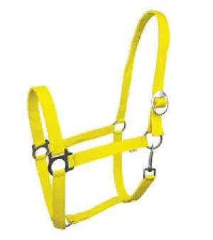 Nylon Halters