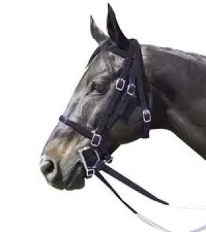 Horse Bridle