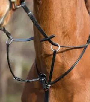 Martingales