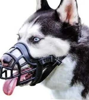 Dog Muzzles