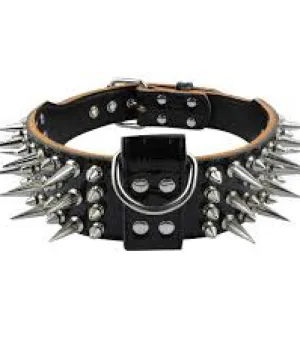 Spiked Collar