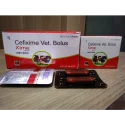 Cefixime Vet Bolus