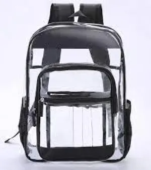 Transparent Backpack