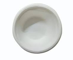 Bagasse Disposable Bowl