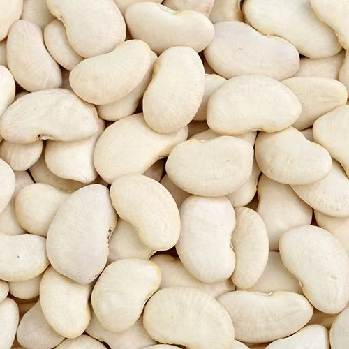 dried white beans