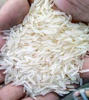 1121 Sella Rice