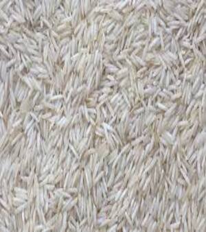 1509 Rice
