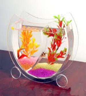 Acrylic Aquarium