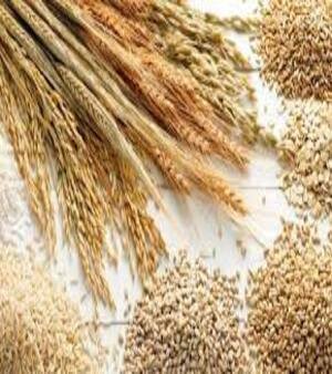 Agricultural Food Products