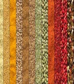 Agro Based Commodities