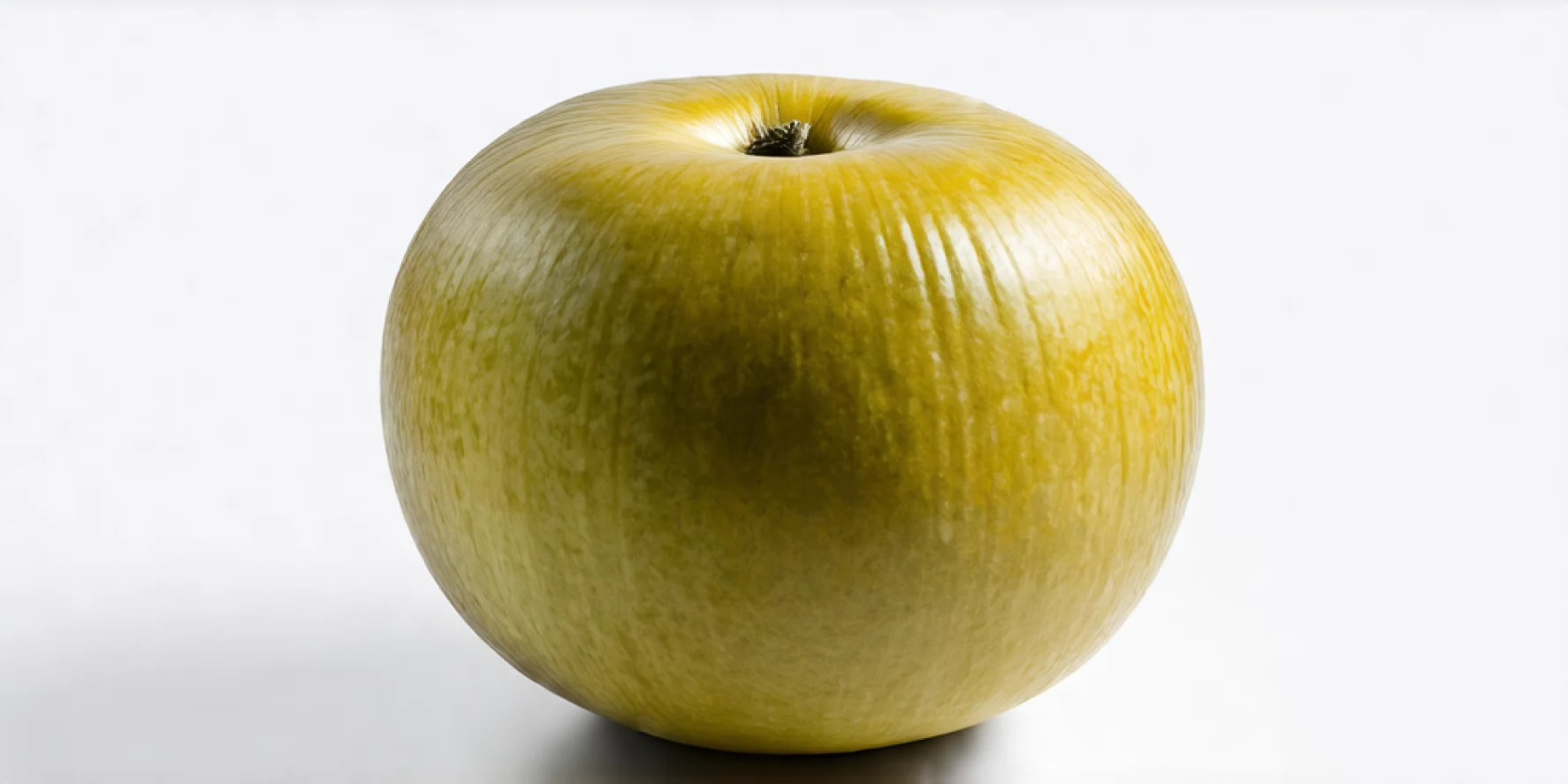 Starch, Husk & Agro Waste