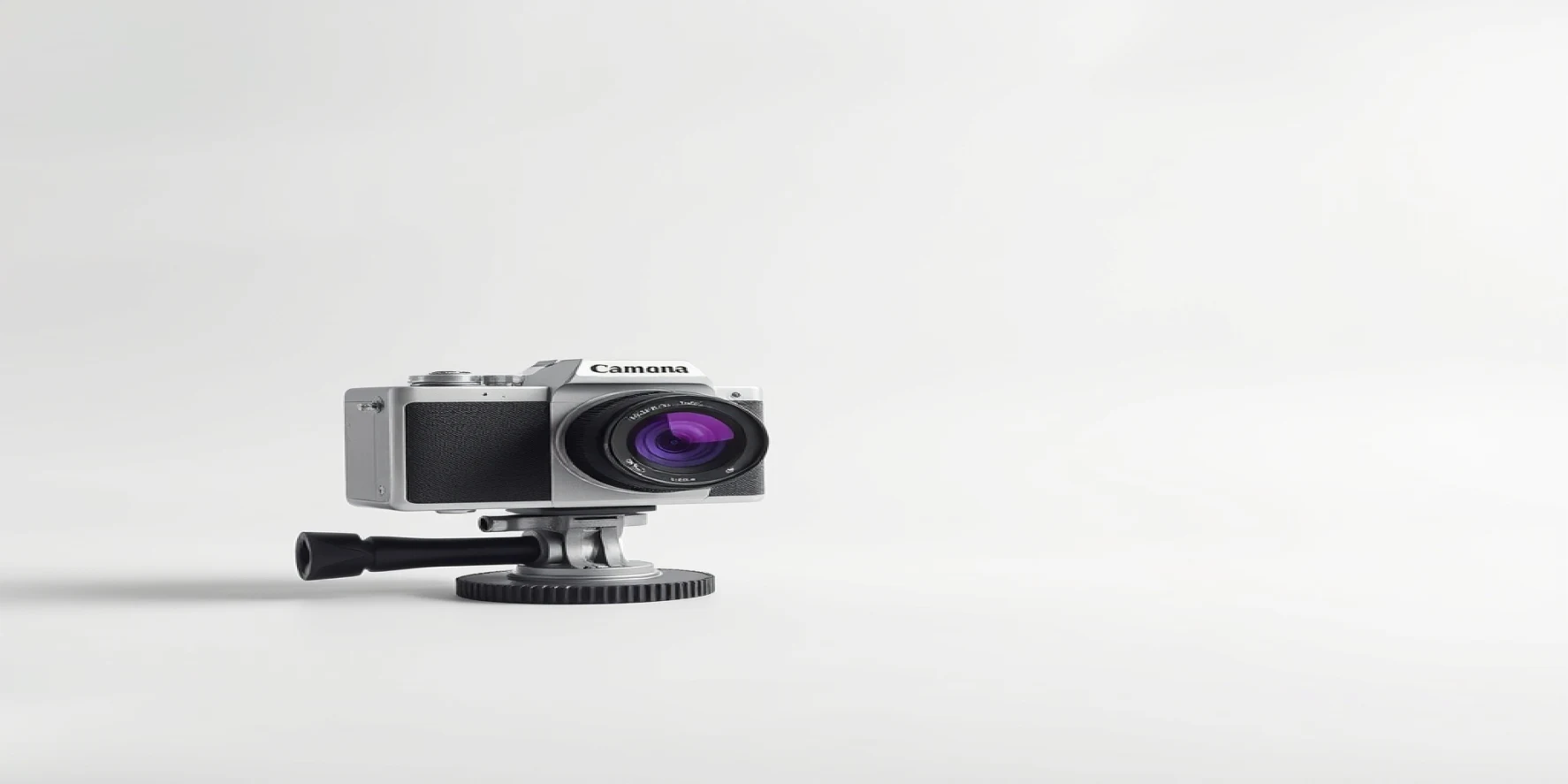 Electronic Camera