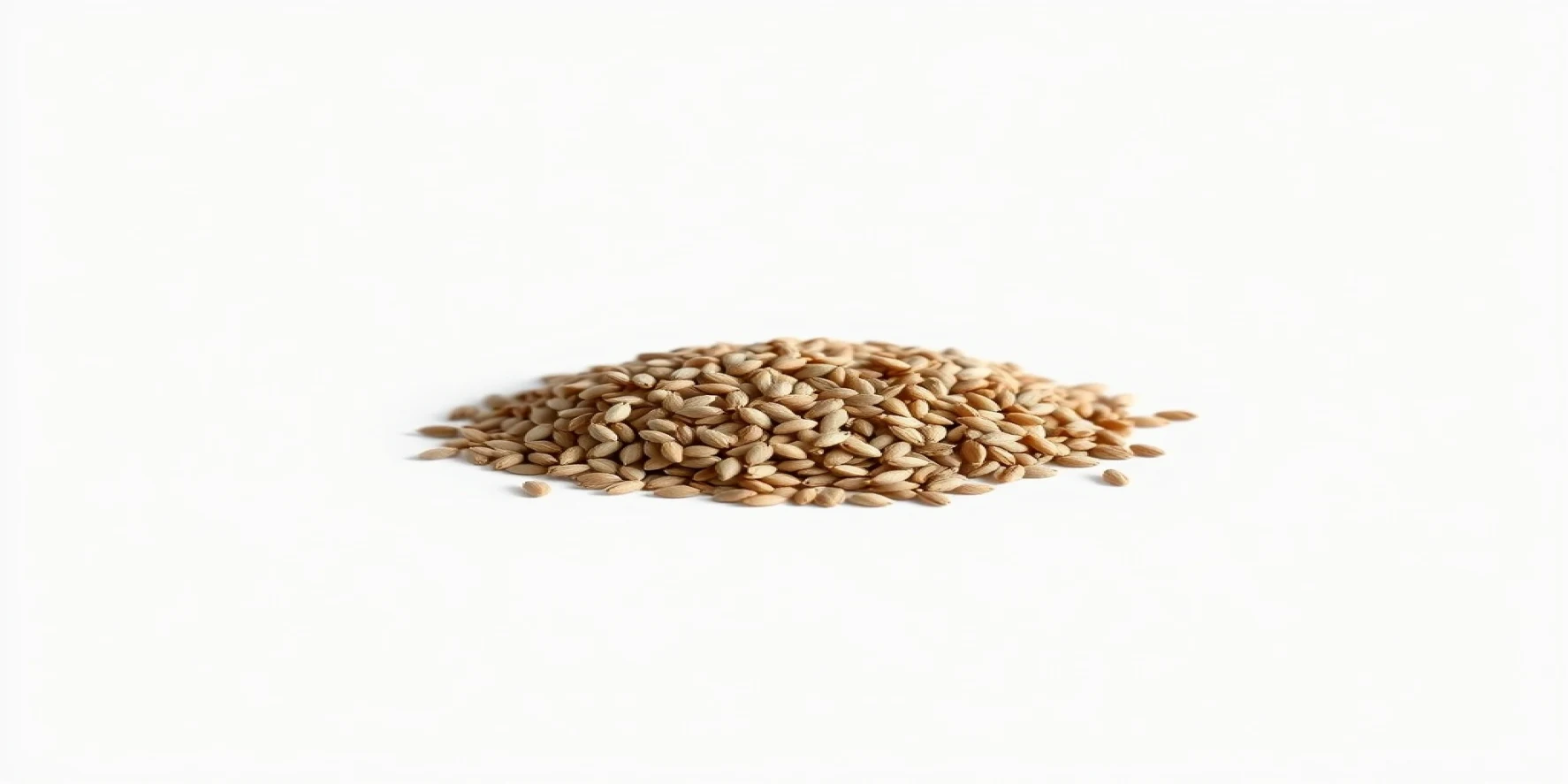 Organic Flax Seeds