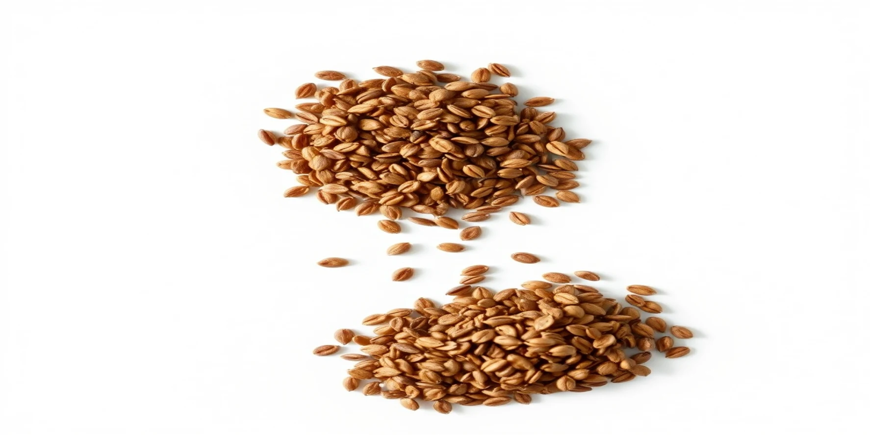 Roasted Flax Seeds