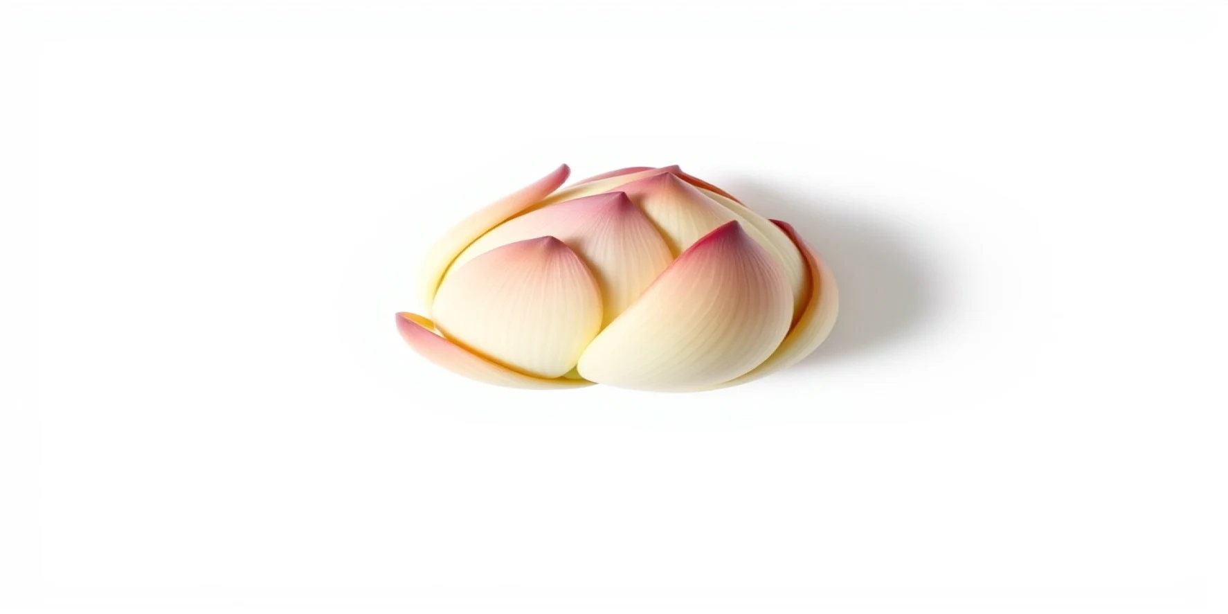 Lotus Seeds