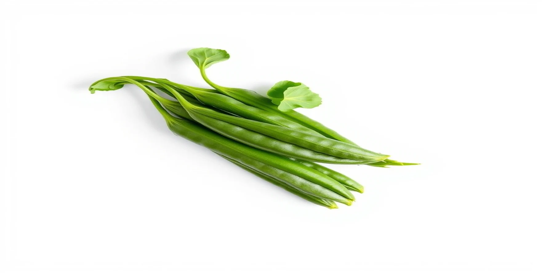 Hybrid Bhindi Seeds