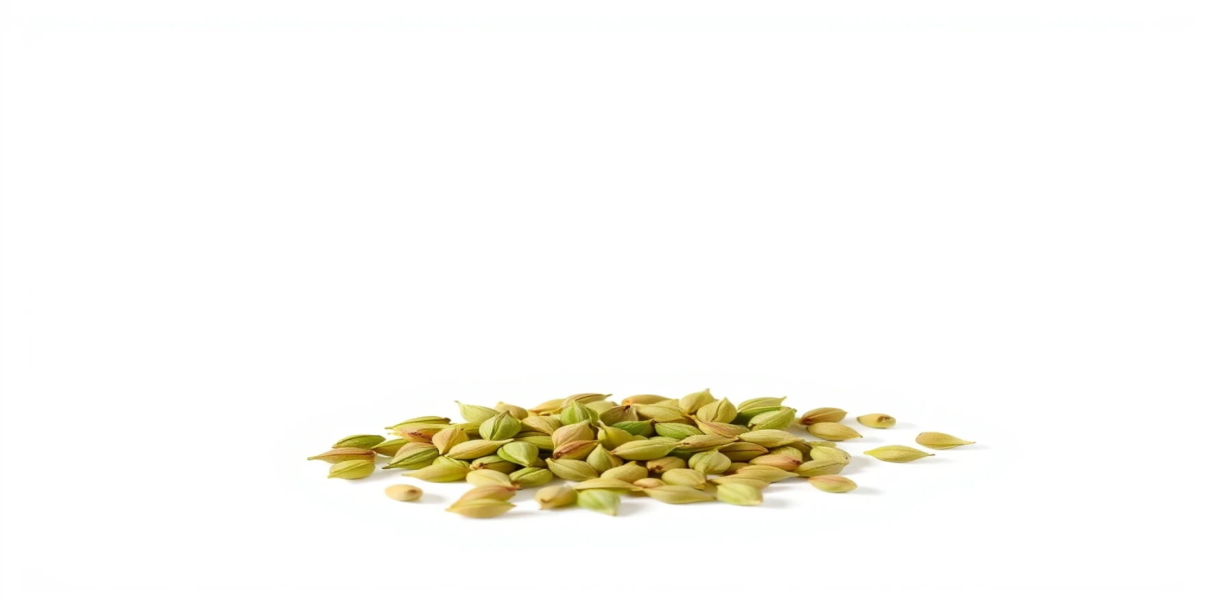 Green Cardamom Seeds