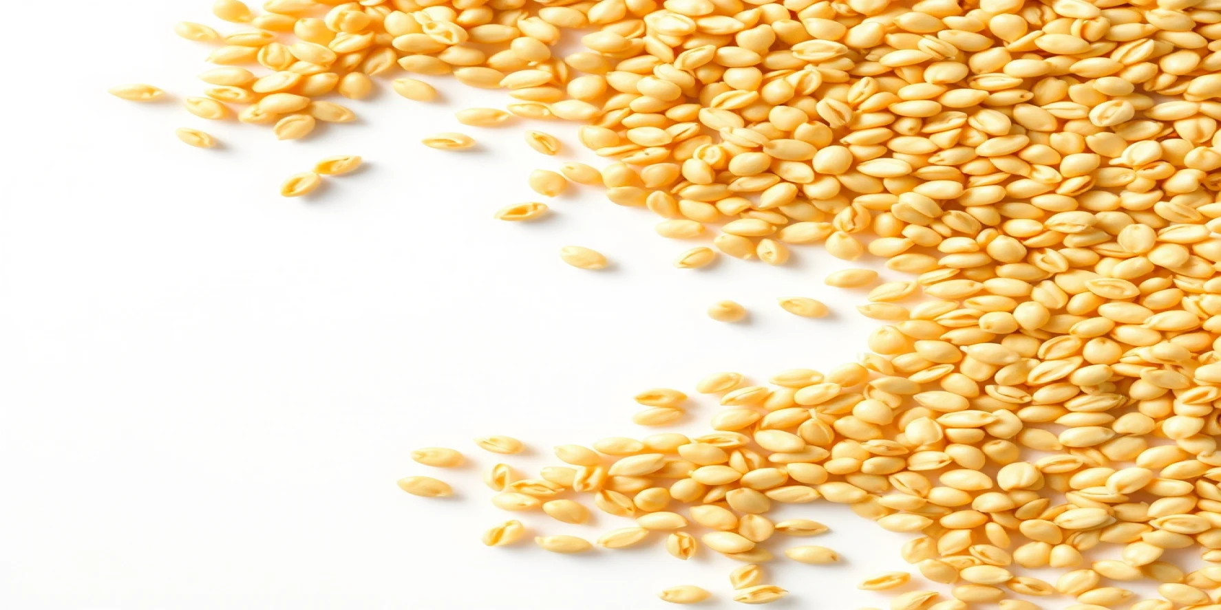 Yellow Sesame Seeds