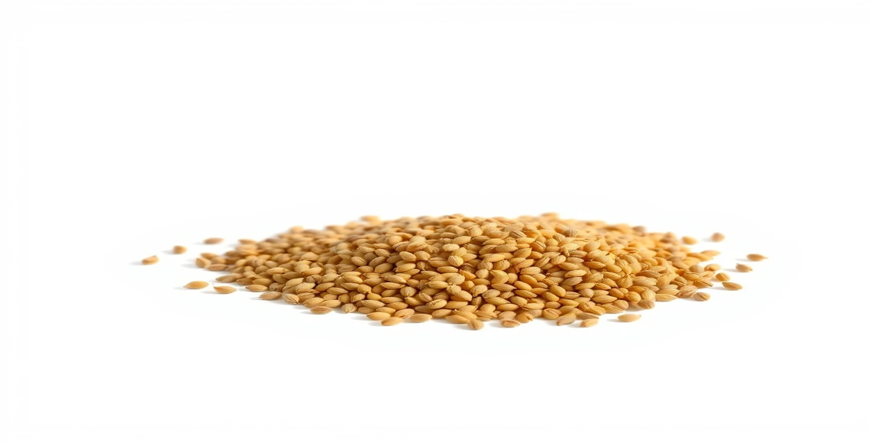 Finger Millet Seeds