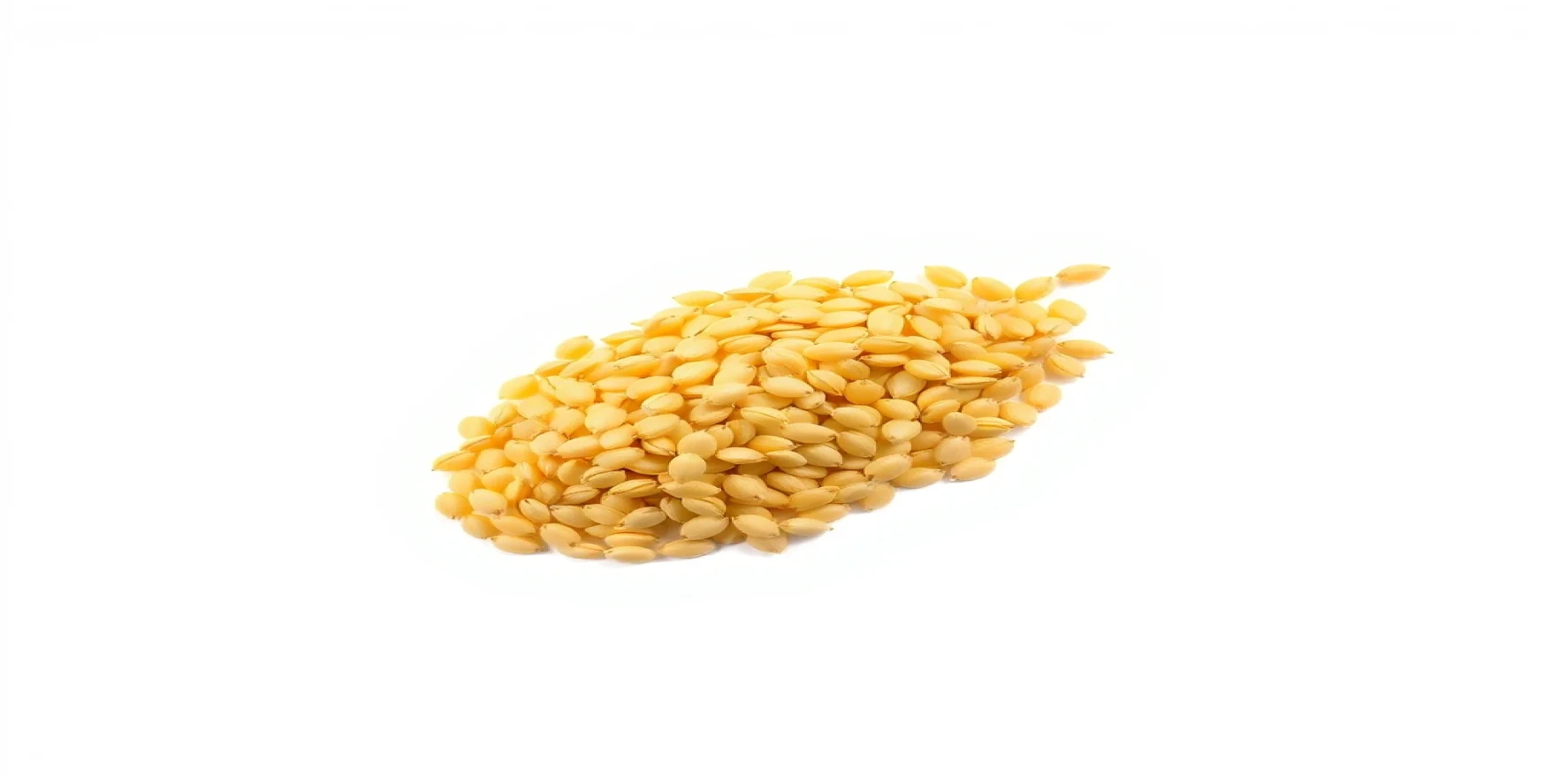 Canola Seeds