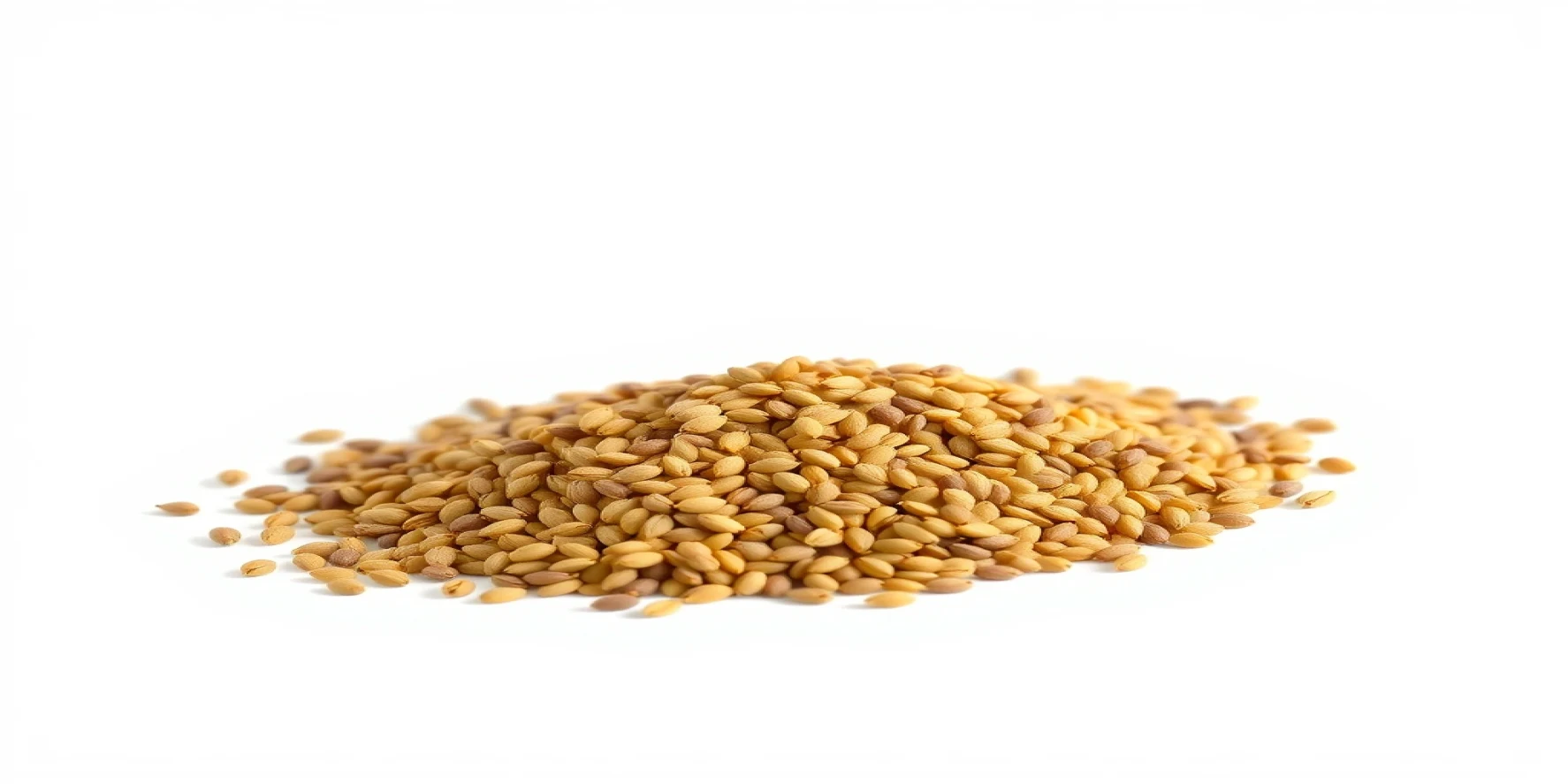 Mustard Seeds