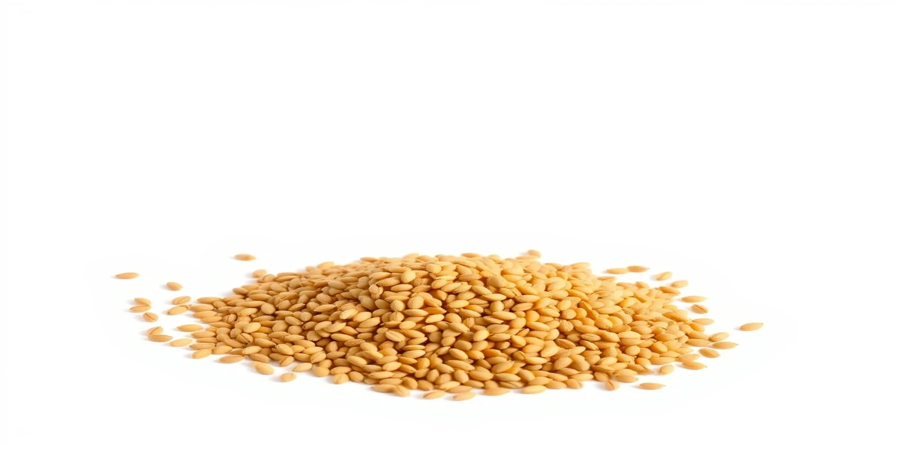 Fenugreek Seeds