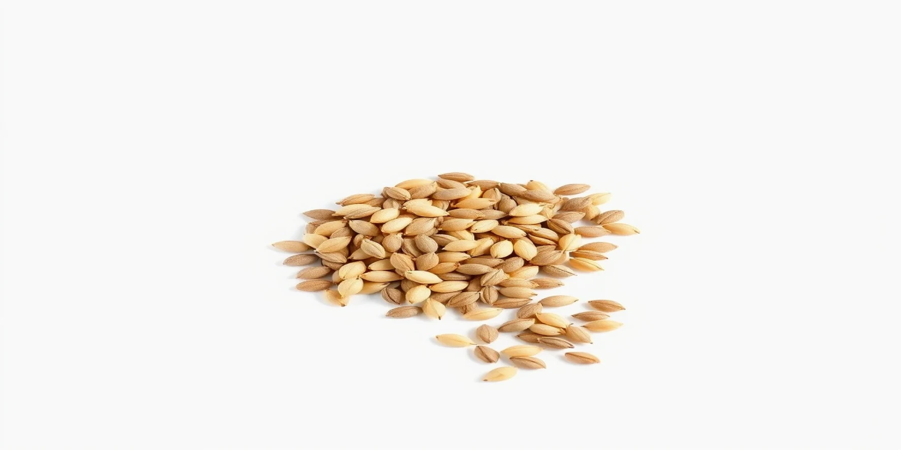 Sunflower Seeds