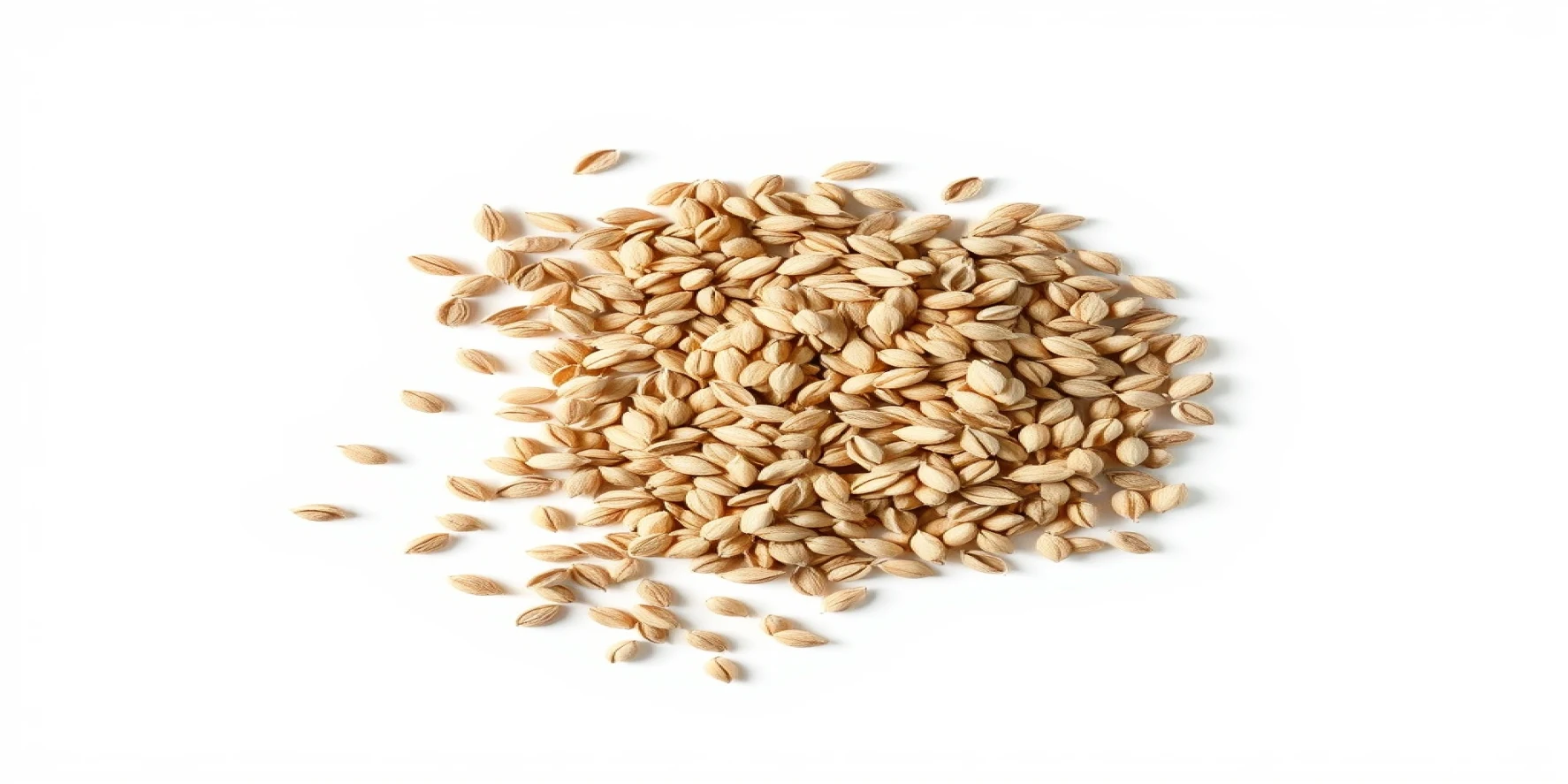 Flax Seeds