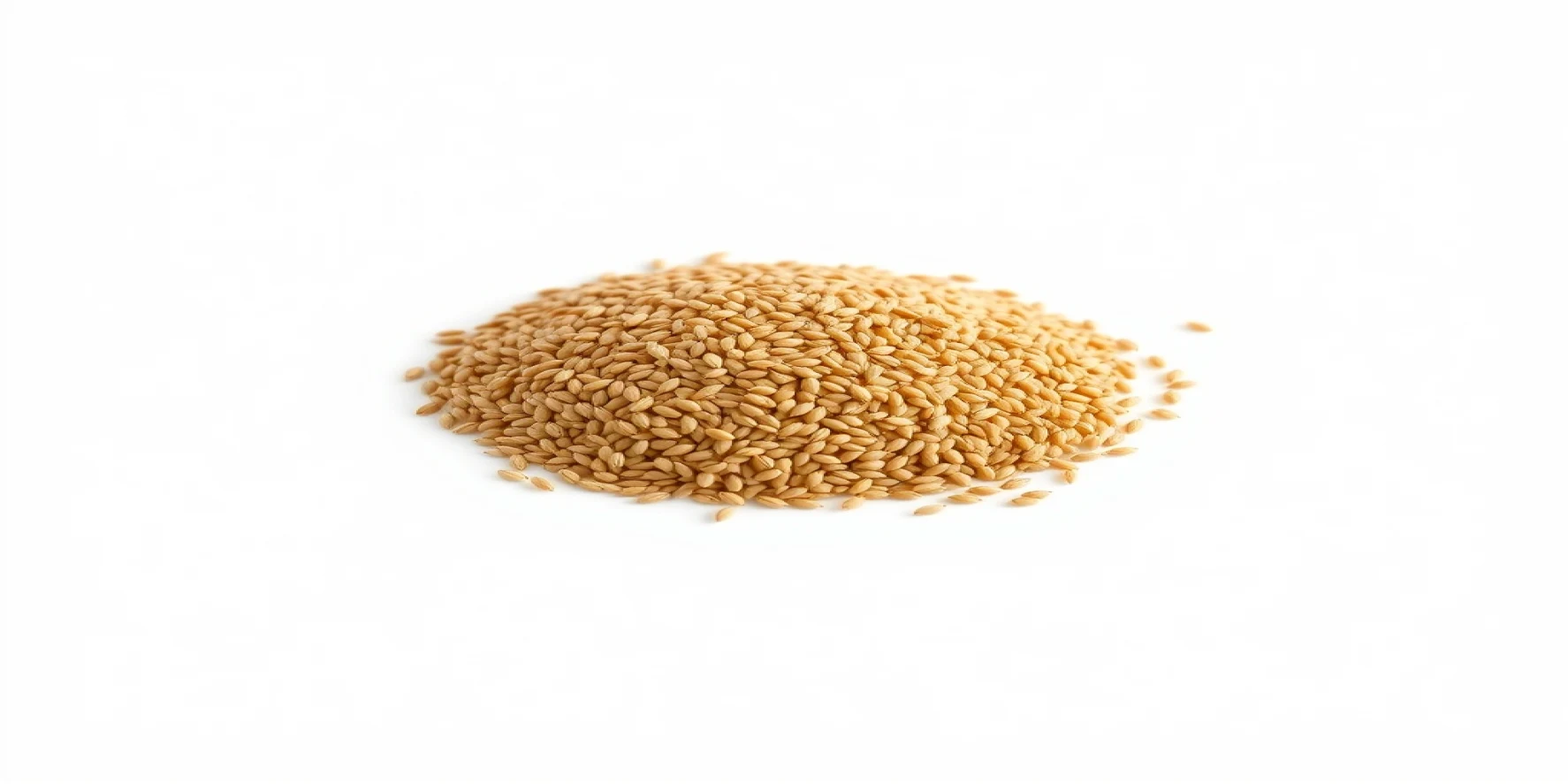 Linseed