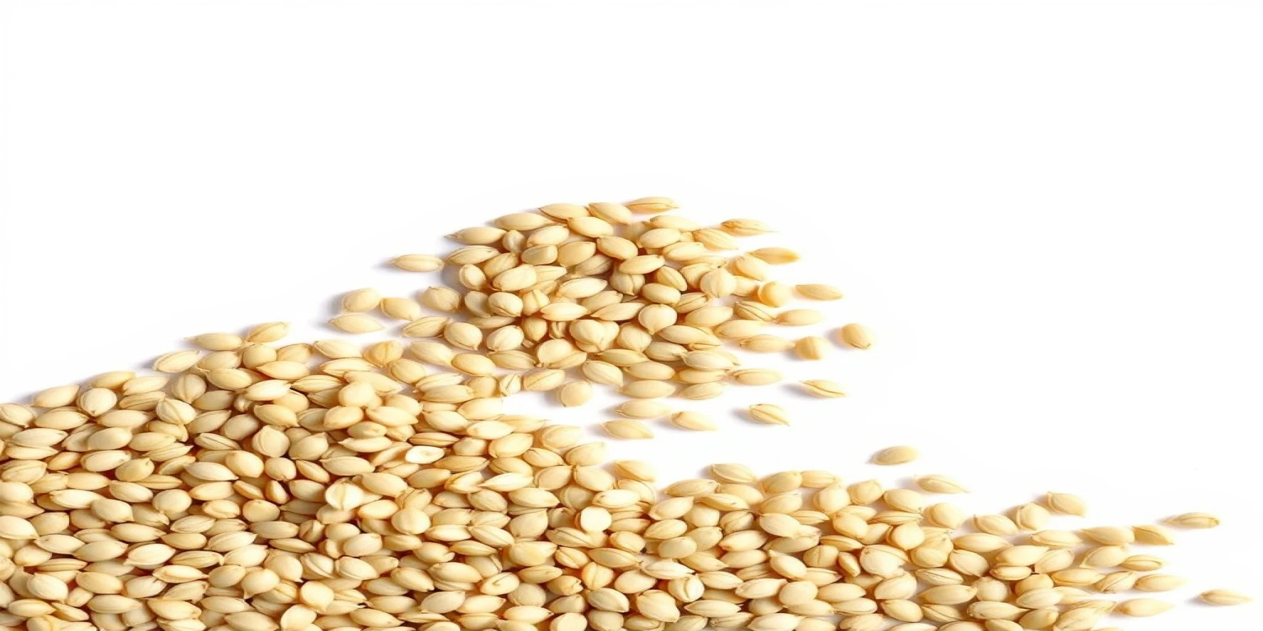Hulled Sesame Seeds