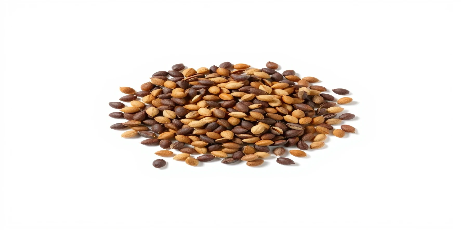 Flower Seeds