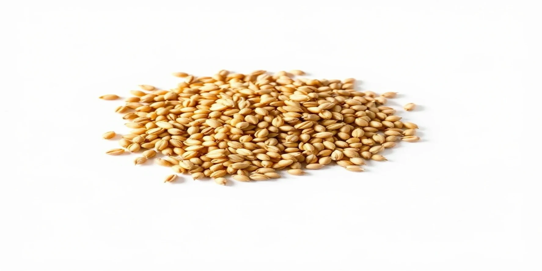 Millet Seeds