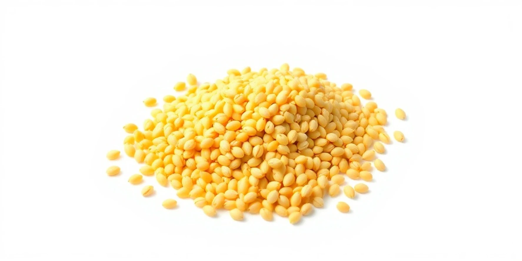 Yellow Maize Seeds