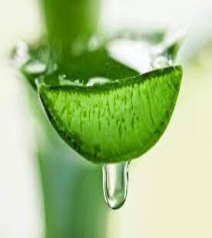 Aloe Vera Cosmetics