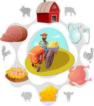 Animal Products