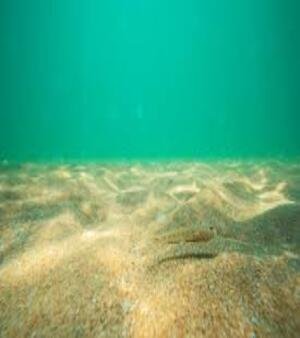 Aquarium Sand