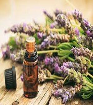 Aromatherapy Oil