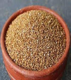 Barnyard Millet