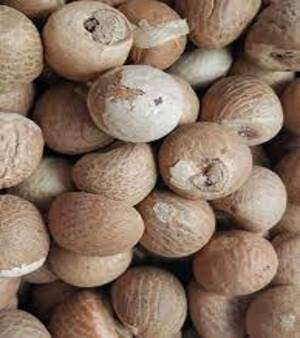 Betel Nuts