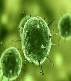 Biocides