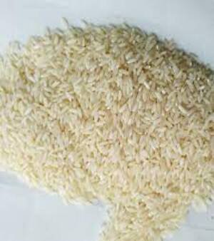 Bpt Rice