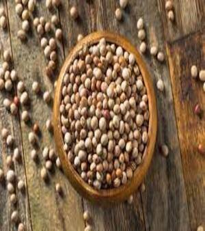 Pigeon Pea Seeds