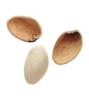 Pistachio Shells